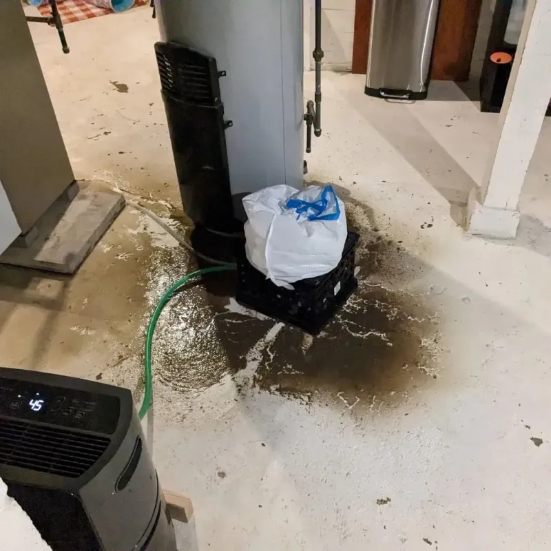 Sewage Backup Cleanup Service in Andrews, SC